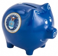 Air Force Piggy Bank